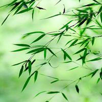 复古霸业手游下载